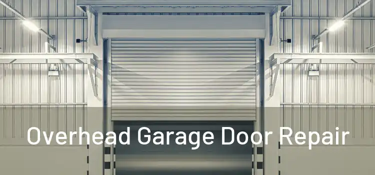  Overhead Garage Door Repair 